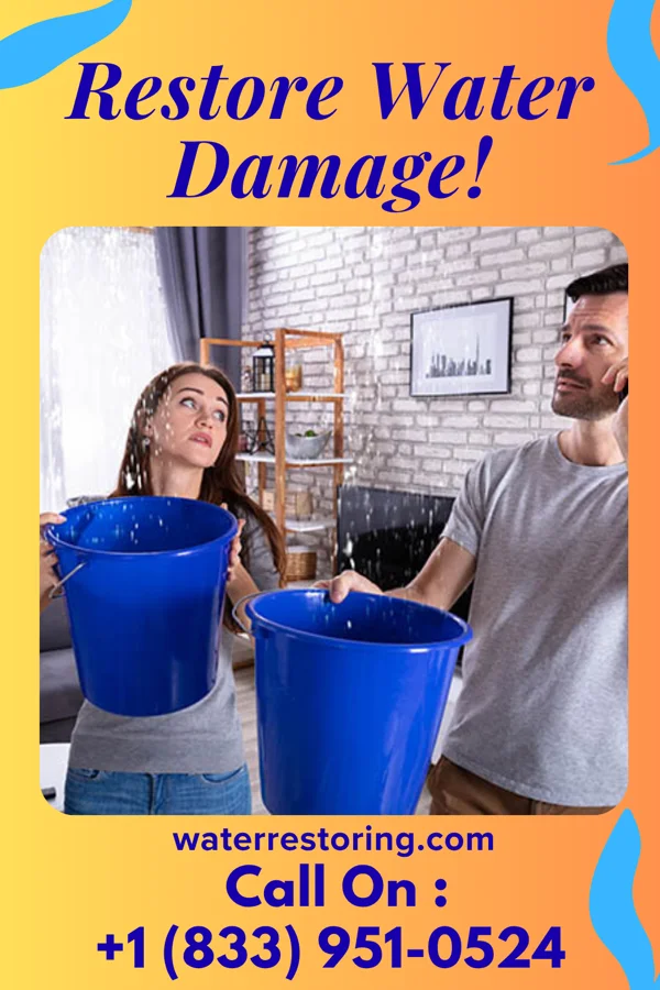 water restoration Pacific Damage Restoration Services West Wyomissing