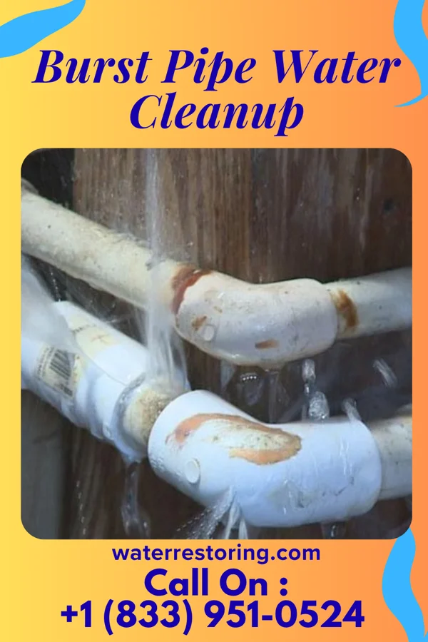 Burst Pipe Water Cleanup in West Wyomissing, PA