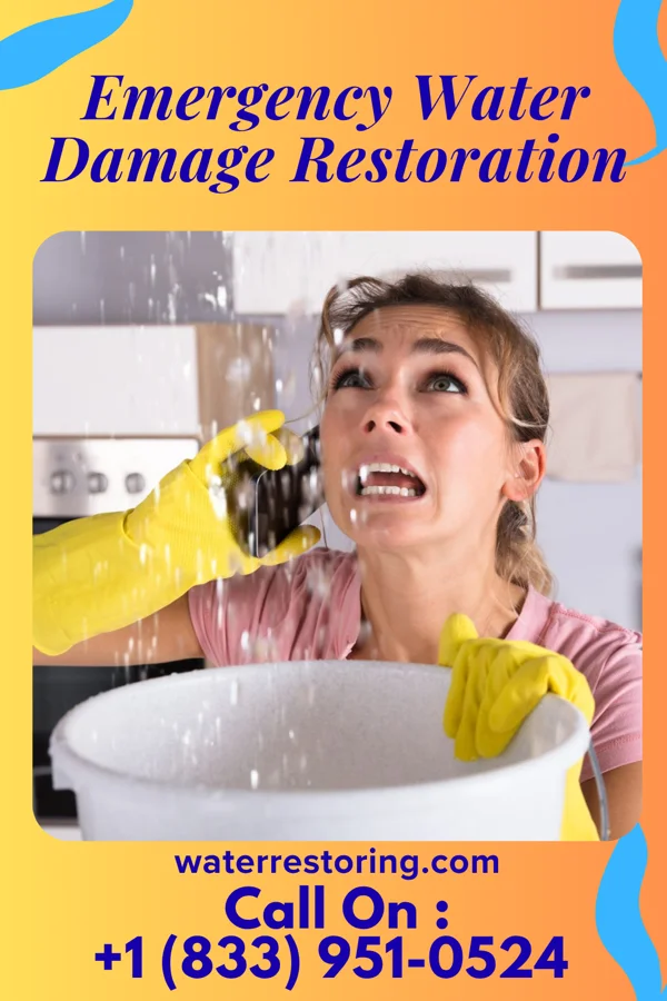 Emergency Water Damage Restoration in West Wyomissing, PA
