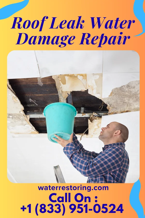 Roof Leak Water Damage Repair in West Wyomissing, PA