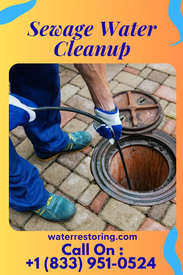 Sewage Water Cleanup in West Wyomissing, PA