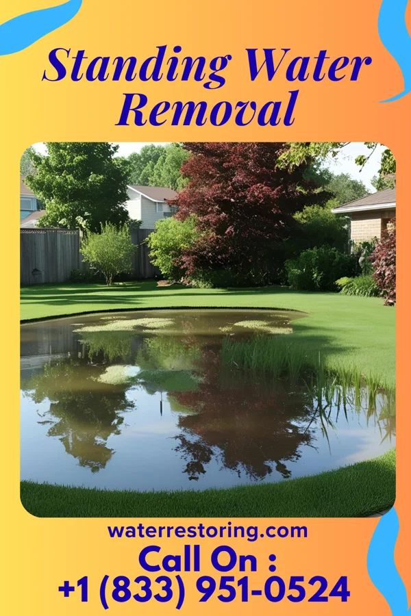 Standing Water Removal in West Wyomissing, PA